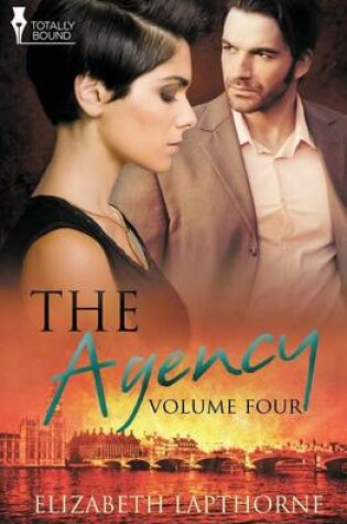 Cover of The Agency Volume Four