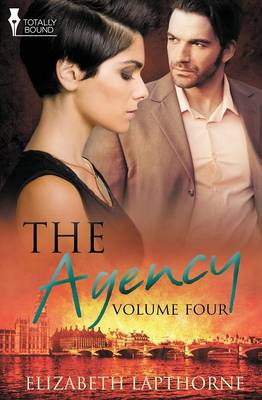 Book cover for The Agency Volume Four