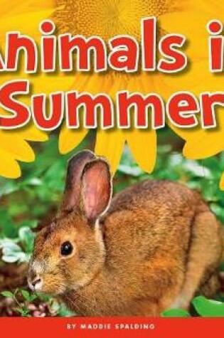 Cover of Animals in Summer