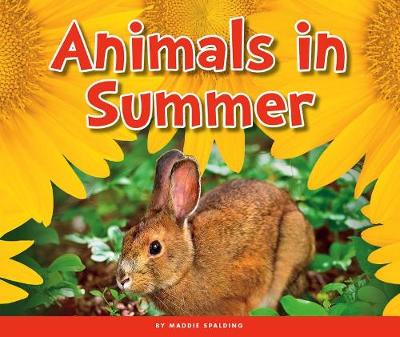Cover of Animals in Summer