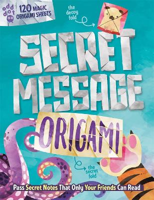 Book cover for Secret Message Origami