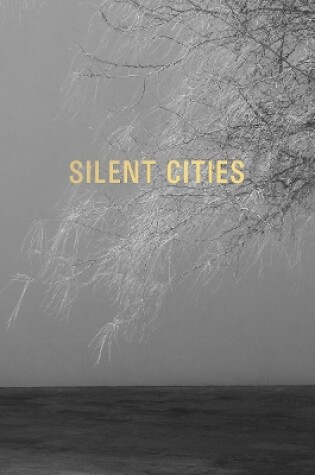 Cover of Mat Hennek: Silent Cities