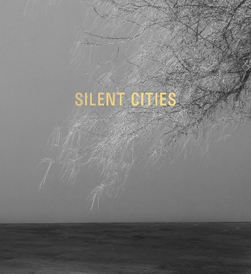 Book cover for Mat Hennek: Silent Cities