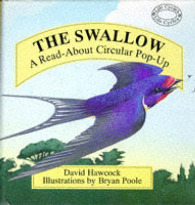Book cover for The Swallow, The