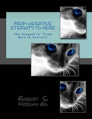 Book cover for From Negative Eternity To Here