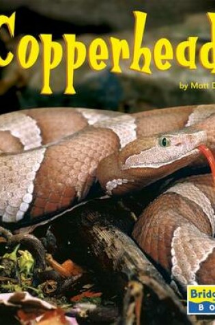 Cover of Copperheads