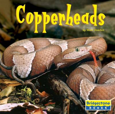 Book cover for Copperheads