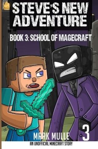 Cover of Steve's New Adventure Book 3