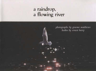 Book cover for A Raindrop, a Flowing River