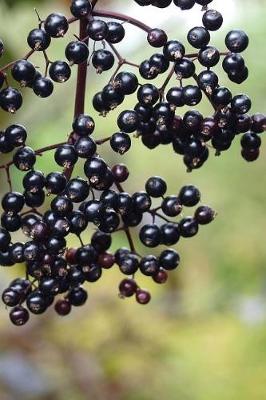 Book cover for Elderberry Fruit Journal