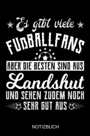 Cover of Es gibt viele Fußballfans aber die besten sind aus Landshut und sehen zudem noch sehr gut aus