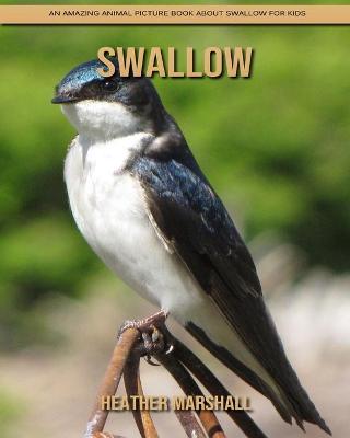 Book cover for Swallow