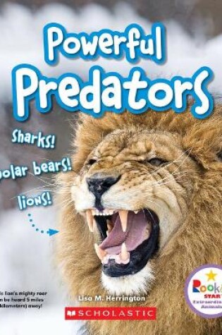 Cover of Powerful Predators: Sharks! Polar Bears! Lions! (Rookie Star: Extraordinary Animals)