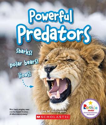 Cover of Powerful Predators: Sharks! Polar Bears! Lions! (Rookie Star: Extraordinary Animals)