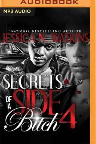 Cover of Secrets of a Side Bitch 4