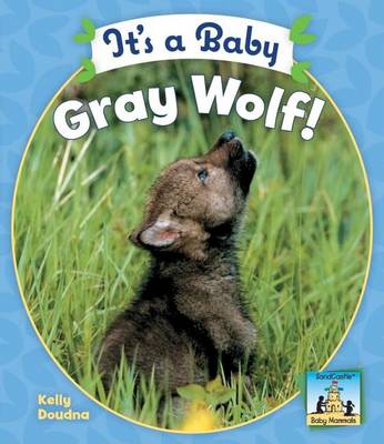 Book cover for It's a Baby Gray Wolf