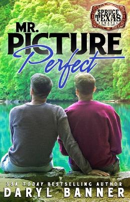 Book cover for Mr. Picture Perfect