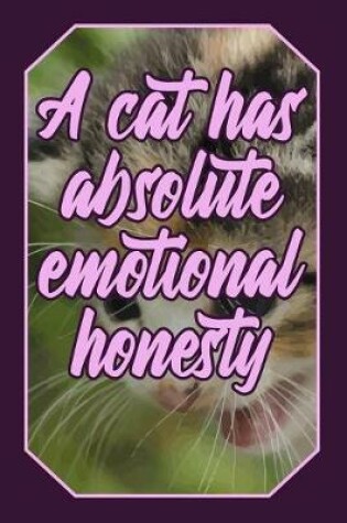 Cover of A Cat Has Absolute Emotional Honesty