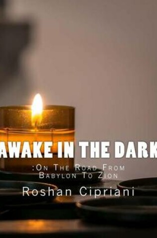 Cover of Awake In The Dark