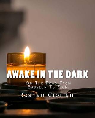 Book cover for Awake In The Dark