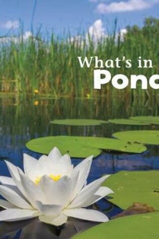 Cover of Whats in a Pond?