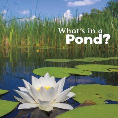 Book cover for Whats in a Pond?