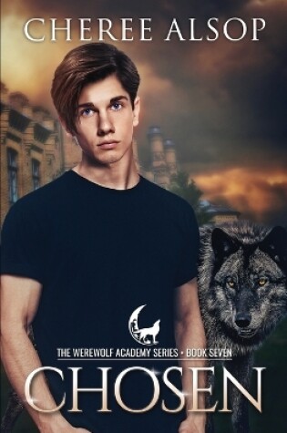 Cover of Werewolf Academy Book 7