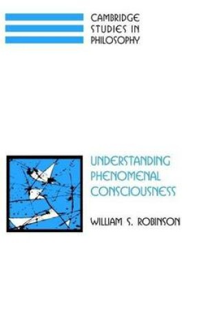 Cover of Understanding Phenomenal Consciousness. Cambridge Studies in Philosophy