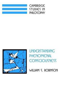 Book cover for Understanding Phenomenal Consciousness. Cambridge Studies in Philosophy