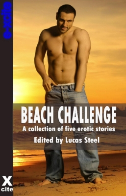 Book cover for Beach Challenge