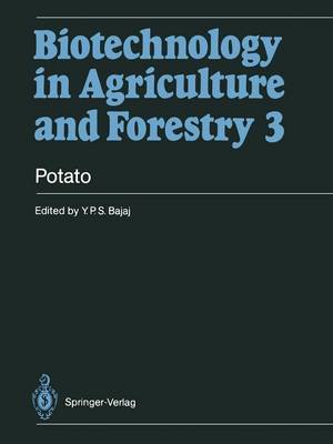 Book cover for Potato