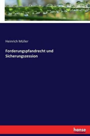 Cover of Forderungspfandrecht und Sicherungszession