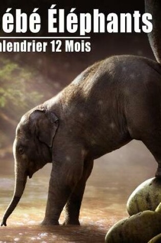 Cover of Calendrier 2021 Bébé Éléphants