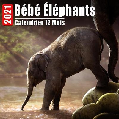 Book cover for Calendrier 2021 Bébé Éléphants