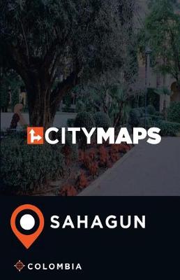 Book cover for City Maps Sahagun Colombia