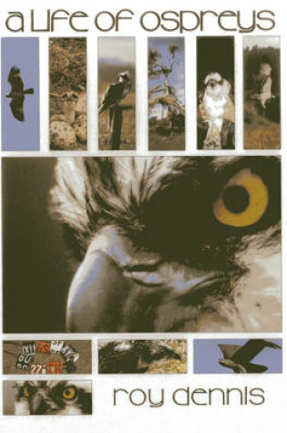 Cover of A Life of Ospreys