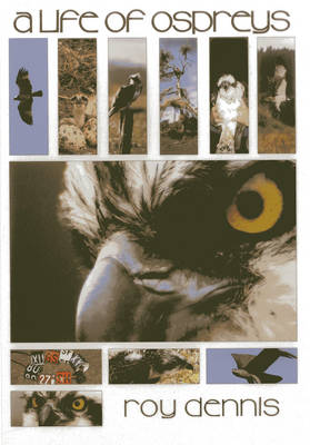 Book cover for A Life of Ospreys