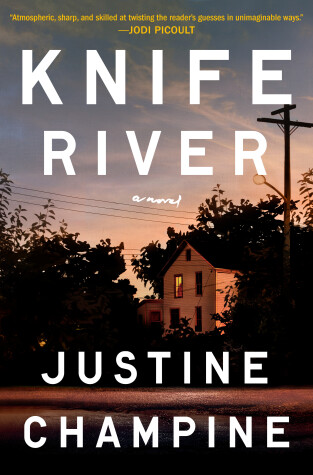 Book cover for Knife River