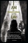 Book cover for I Am the Resurrection and the Life