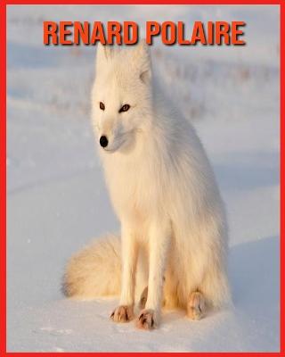 Book cover for Renard Polaire