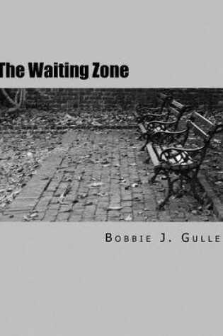 Cover of The Waiting Zone
