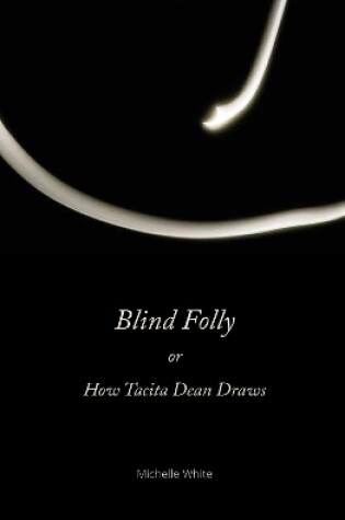 Cover of Blind Folly or How Tacita Dean Draws