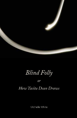 Book cover for Blind Folly or How Tacita Dean Draws