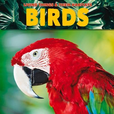 Cover of Birds