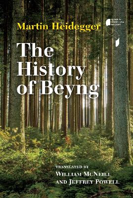 Cover of The History of Beyng