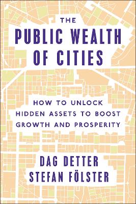 Book cover for The Public Wealth of Cities