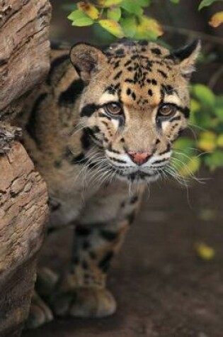 Cover of Say Hello to the Clouded Leopard Journal