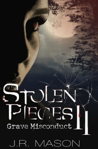 Cover of Stolen Pieces II