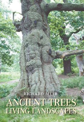 Book cover for Ancient Trees, Living Landscapes