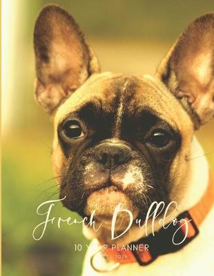 Book cover for 2020-2029 10 Ten Year Planner Monthly Calendar French Bulldog Goals Agenda Schedule Organizer